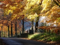 Macclesfield Forest Autumn